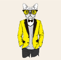 Illustration of dog hipster dressed up in jacket, pants and sweater. Vector illustration