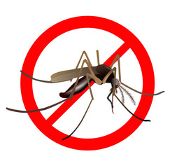 Mosquito warning, prohibitory sign. Vector illustration of common mosquito (Culex pipiens) in red crossed out circle on white background.