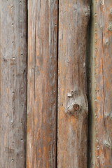 Holzstämme im Hochformat