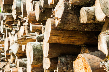 Pile of wood logs storage for industry