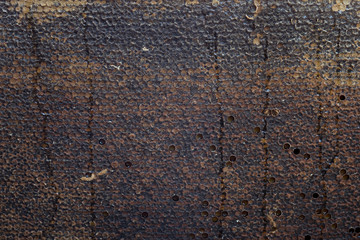 Beautiful honeycomb with honey, background