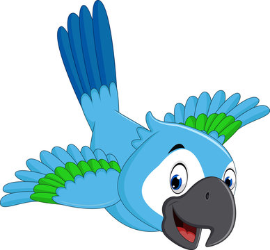 illustration of cute macaw cartoon