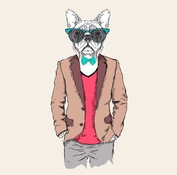 Illustration of dog hipster dressed up in jacket, pants and sweater. Vector illustration