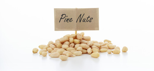 Pine on white background