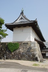 Fototapeta na wymiar 佐賀城　鯱の門とハート型のオオイタビカズラ