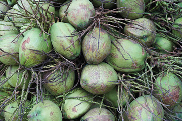 close up a group of green coconut fruit,nature color picture style,texture of coconut,coconut background