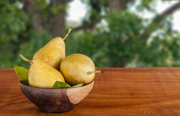 Pears in the Garden