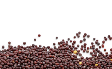 Dark mustard on white background