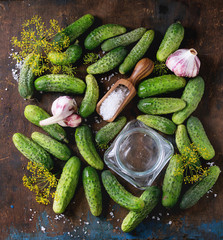 Cucumbers for pickling