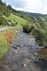 Bachlauf