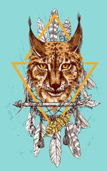 sketching of lynx © Steshnikova