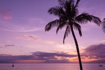 Fototapeten Sunset on Maui © natureguy
