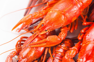 Red boiled crayfish