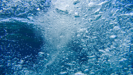 Fototapeta premium Underwater air bubbles