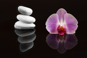 Obraz na płótnie Canvas Pink orchid and white pebbles