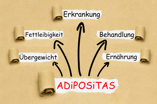 Adipositas Konzept
