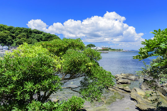 Fototapeta 夏の観音崎公園　入道雲