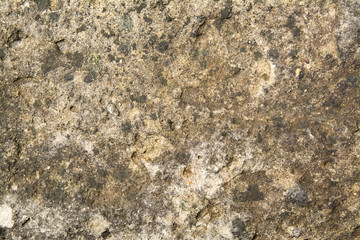 gray background texture concrete wall