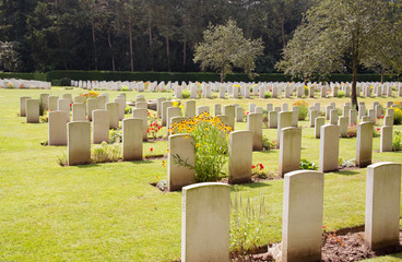 Ehrenfriedhof  Kriegsgräber