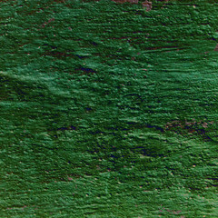 abstract green background texture cement wall