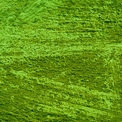 abstract green background texture cement wall