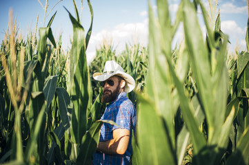 farmer in a corn field