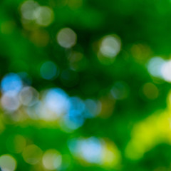 Obraz premium green background blur circles