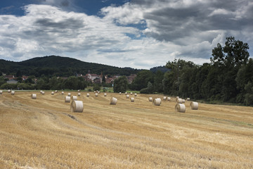 paysage agricole avec meules de paille