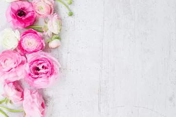 Crédence de cuisine en verre imprimé Fleurs Fleurs de renoncule roses et blanches