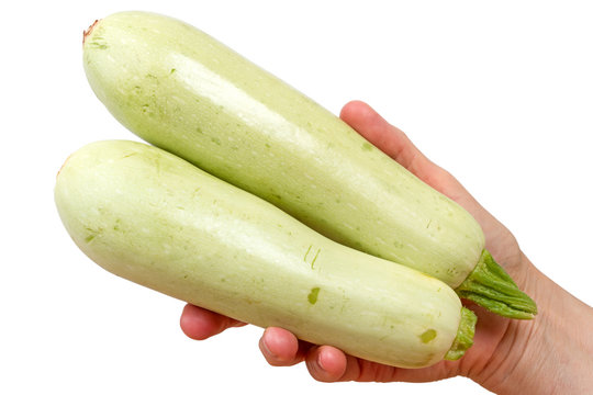Two zucchini in hand