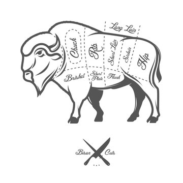 Vintage butcher cuts of bison buffalo scheme diagram