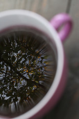 A pink and white cup filled with coffee reflecting a chaotic image of branches and leaves. Low depth of field