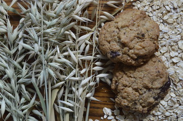 Homemade oatmeal cookie with chocolate on scattered oatmeal and with with ears of oat