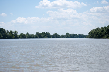 River Tisa surrounded with forest in Serbia