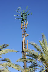 Cellular antenna disguised as a palm tree