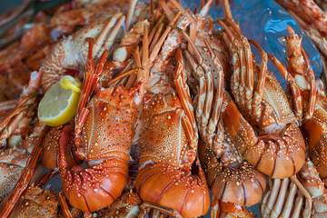 Shrimp on the ice, Prawn, Seafood, Crayfish, lobster