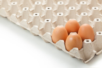 Close up of eggs on rag. or cartons packing. on white background.