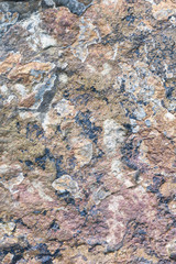 Close-up of pattern and texture in a large rock
