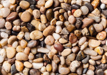River Pebbles