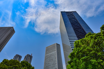 Obraz premium 東京・新宿の高層ビル群