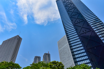 Fototapeta premium 東京・新宿の高層ビル群