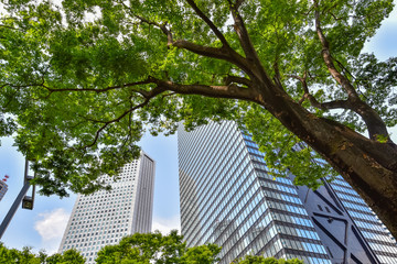 東京・新宿の高層ビル群 © hit1912