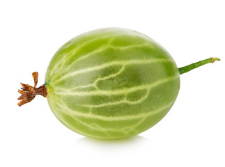 Green gooseberry close-up isolated on a white background.