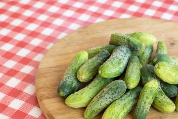 Fresh pickles on the wooden board