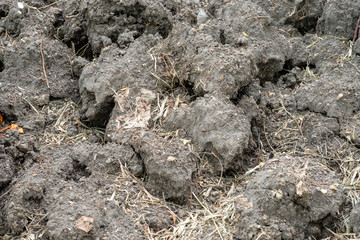 cracked soil