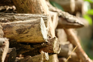 Wood pile