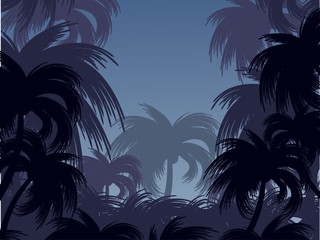 Fototapeta na wymiar Landscape with palm trees.