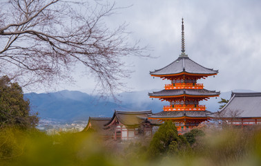Naklejka premium Świątynia Kiyomizu-dera w Kioto w Japonii