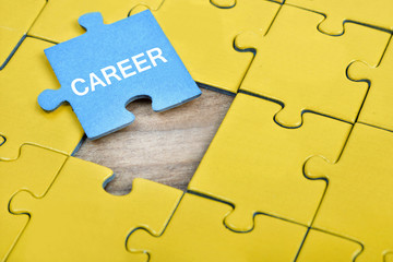 Fototapeta premium Puzzle with word Career