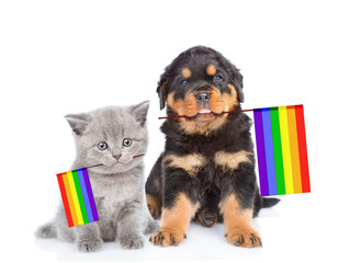 puppy and kitten with rainbow color flag symbolizing gay rights. isolated on white